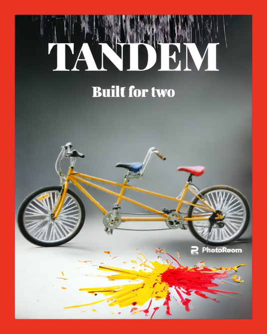 Tandem Bike - Whole day Rental for $55.00 - image is for illustration.