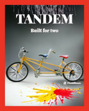 Tandem Bike - 10 hours Rental for $55.00 - image is for illustration.