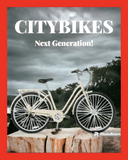 City bikes $15.00 - 3 hour rental