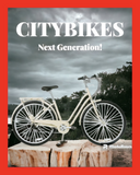 City Bikes - 10 hours for $30.00
