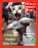 A Private 'Pocket Bike Tours' - The Bicycle Hut  $140 per person (Minimum 2 pax group)